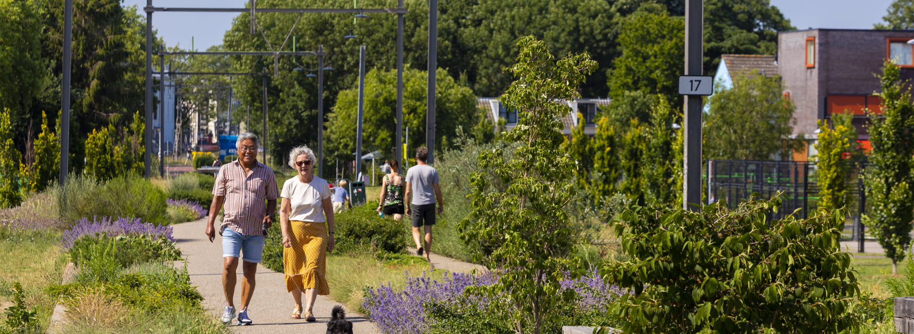 De foto laat een park zien op een zonnige dag dat op een oud treinspoor is gebouwd. Waar de trein voorheen reed zijn twee wandelpaden. Aan beide kanten zijn veel planten, bomen en bloemen. Er is een bankje om op te zitten. Er zijn wandelende mensen met hond op het wandelpad.